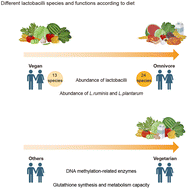 Graphical abstract: Compositional and functional features of the intestinal lactobacilli associated with different long-term diet types