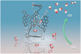 Graphical abstract: Cofacial porphyrin organic cages. Metals regulating excitation electron transfer and CO2 reduction electrocatalytic properties