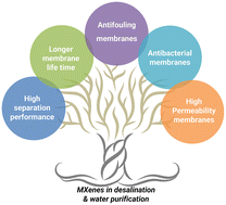Graphical abstract: Recent advances in applications of MXenes for desalination, water purification and as an antibacterial: a review