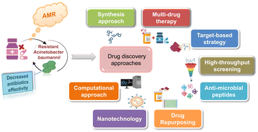 Graphical abstract: Understanding the mechanisms of antimicrobial resistance and potential therapeutic approaches against the Gram-negative pathogen Acinetobacter baumannii