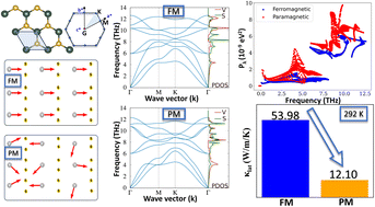 Graphical abstract: Unveiling magnetic transition-driven lattice thermal conductivity switching in monolayer VS2