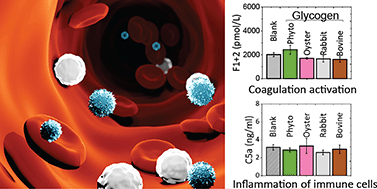 Graphical abstract: The interaction of glycogen nanoparticles with human blood