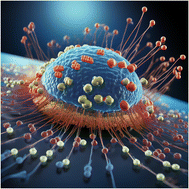 Graphical abstract: Understanding the interplay between pH and charges for theranostic nanomaterials