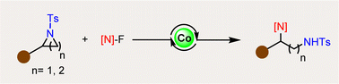 Graphical abstract: Cobalt-catalyzed amination of aziridines and azetidines toward 1,2- and 1,3-diamines