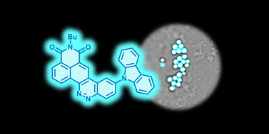 Graphical abstract: CinNapht AIE(E)gens for selective imaging of lipid droplets