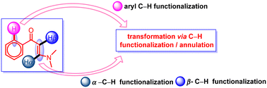 Graphical abstract: Recent advances in site-selective transformations of β-enaminones via transition-metal-catalyzed C–H functionalization/annulation