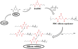 Graphical abstract: Improved thermal properties of polydimethylsiloxane by copolymerization and thiol–ene crosslinking of 2-pyrone-4,6-dicarboxylic acid moiety