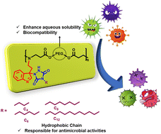 Graphical abstract: Conversion of oligo(ethyleneglycol)s into non-toxic highly selective biocompatible poly(ethyleneglycol)s: synthesis, antimicrobial and antibiofilm activity
