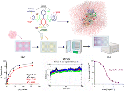 Graphical abstract: Anticancer potential of novel symmetrical and asymmetrical dihydropyridines against breast cancer via EGFR inhibition: molecular design, synthesis, analysis and screening