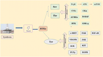 Graphical abstract: Recent studies on protein kinase signaling inhibitors based on thiazoles: review to date