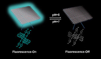 Graphical abstract: Fluorescence-switching 2-D sheet structure formed by self-assembly of cruciform aromatic amphiphiles