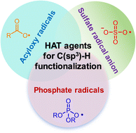 Graphical abstract: Acyloxy, sulfate, and phosphate radicals as hydrogen atom transfer (HAT) agents for direct C(sp3)–H functionalization