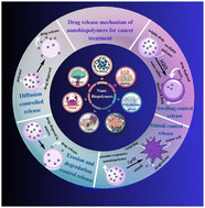 Graphical abstract: Nanobiopolymers in cancer therapeutics: advancing targeted drug delivery through sustainable and controlled release mechanisms
