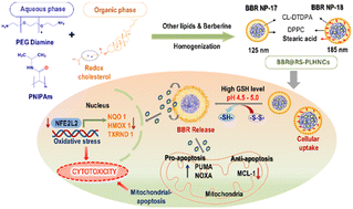 Graphical abstract: Engineering of redox-triggered polymeric lipid hybrid nanocarriers for selective drug delivery to cancer cells