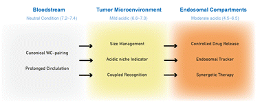 Graphical abstract: Functionalities of pH-responsive DNA nanostructures in tumor-targeted strategies