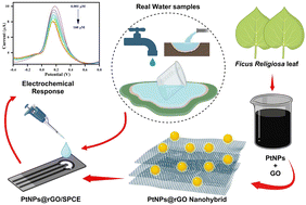 Graphical abstract: Sustainable synthesis of a PtNPs@rGO nanohybrid for detection of toxic fluoride ions using hand-made screen-printed electrodes in aqueous medium