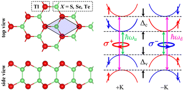Graphical abstract: Robust spin-valley coupling in hexagonal monolayers of Tl-based monochalcogenides