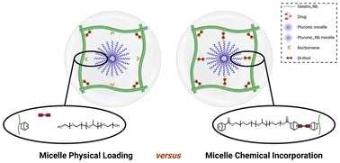 Graphical abstract: Tailoring composite hydrogel performance via controlled integration of norbornene-functionalised Pluronic micelles