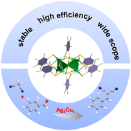 Graphical abstract: Highly stable bidentate thiol-protected Ag5Cu4 nanoclusters: a stable catalyst for enhanced Knoevenagel condensation
