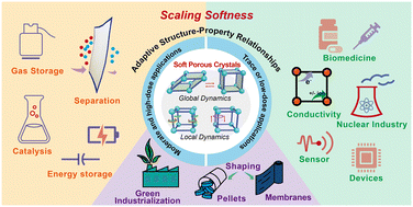 Graphical abstract: Soft porous crystals: flexible MOFs as a new class of adaptive materials