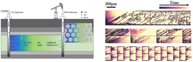 Graphical abstract: Visualization investigation of fluid transport in multiscale porous media for CO2-EOR based on microfluidic technology