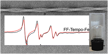 Graphical abstract: Composite hydrogels of phenylalanine dipeptides with trivalent metal cations