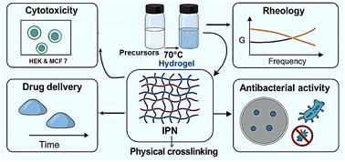 Graphical abstract: Physically crosslinked poly(methacrylic acid-co-acrylamide)/gelatin–chitosan (poly-MAGC) interpenetrating polymer network hydrogels for drug delivery and antibacterial activity