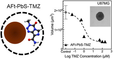 Graphical abstract: Co-encapsulation of temozolomide and PbS quantum dots in apoferritin for transferrin receptor 1 targeting, imaging and treatment of glioblastoma