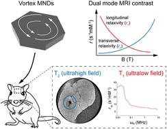 Graphical abstract: Magnetite nanodiscs as vortex-enhanced MRI contrast agents: a novel approach in medical imaging
