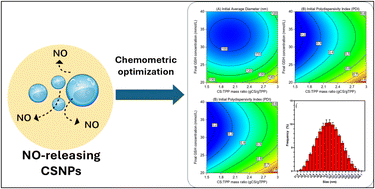 Graphical abstract: Multivariate chemometric design of nitric oxide-releasing chitosan nanoparticles for skin-related biomedical applications