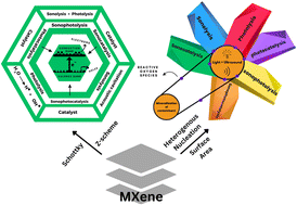 Graphical abstract: MXene based nanoarchitectures for organic contaminants degradation under sonophotocatalytic environment: eco-friendly synthesis, catalytic attributes and recent advancements