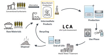 Graphical abstract: Biosurfactant-containing products from an environmental perspective – life cycle assessment of a liquid laundry detergent and a personal care product