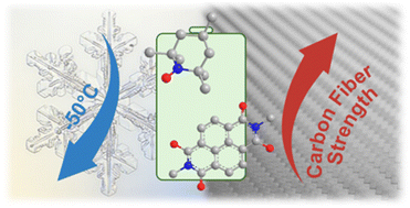 Graphical abstract: Organic dual-ion batteries with low-temperature operability and structural reinforcement