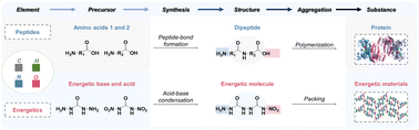 Graphical abstract: Comprehensive energetic modifications of peptides for high-performance amphoteric compounds