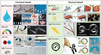 Graphical abstract: Natural polymer-based soft actuators: from biomass to bioapplications