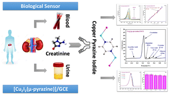 Graphical abstract: A new multifunctional copper iodide–pyrazine hybrid for sensitive creatinine detection in biological samples: synthesis, structural features, characterization, and electrochemical evaluation