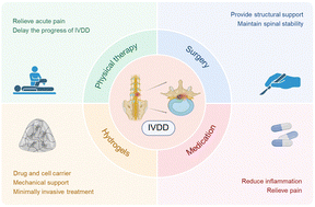 Graphical abstract: Application and prospects of polysaccharide-based hydrogels in the treatment of intervertebral disc degeneration