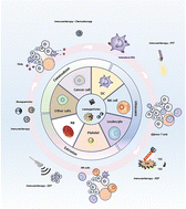 Graphical abstract: Cell membrane biomimetic nanomaterials: a novel strategy for tumor immunotherapy