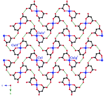 Graphical abstract: Protonated malonate: the influence of the hydrogen bonds on the magnetic behaviour