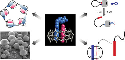 Graphical abstract: Supramolecular assemblies built with host-stabilized charge-transfer interactions