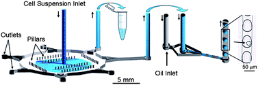 Graphical abstract: An integrated cell culture lab on a chip: modular microdevices for cultivation of mammalian cells and delivery into microfluidic microdroplets