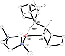 Graphical abstract: γ-Agostic interactions stabilize the propagating species in the vinyl addition polymerization of norbornene