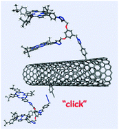 Graphical abstract: Zn-porphyrin/Zn-phthalocyanine dendron for SWNT functionalisation