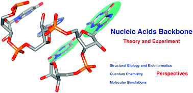 Graphical abstract: The DNA and RNA sugar–phosphate backbone emerges as the key player. An overview of quantum-chemical, structural biology and simulation studies