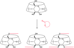 Graphical abstract: Ring-opening polymerization of cyclic esters initiated by cyclodextrins
