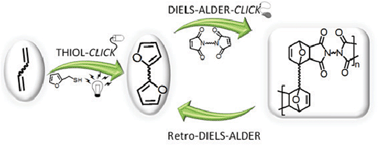 Graphical abstract: Reversible polymerization of novel monomers bearing furan and plant oil moieties: a double click exploitation of renewable resources