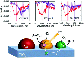 Graphical abstract: Plasmon-induced oxidation of gold nanoparticles on TiO2 in the presence of ligands