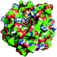 Graphical abstract: Peptide inhibitors of the Keap1–Nrf2 protein–protein interaction with improved binding and cellular activity