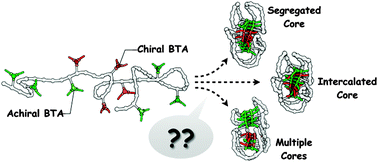 Graphical abstract: “Soldier–Sergeant–Soldier” triblock copolymers: revealing the folded structure of single-chain polymeric nanoparticles