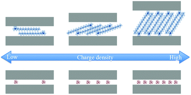 Graphical abstract: A controlled spatial distribution of functional units in the two dimensional nanospace of layered silicates and titanates